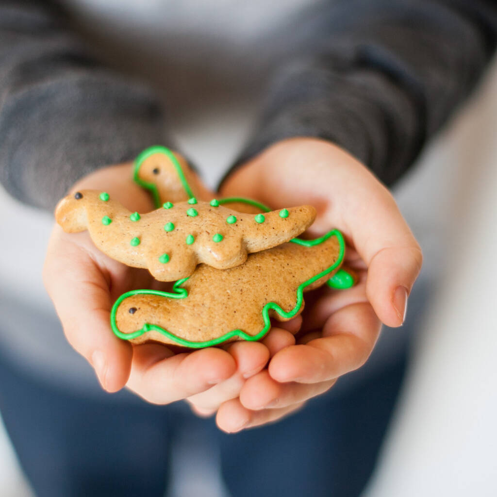 Mini Dinosaur Christmas Biscuit Kit By craft & crumb