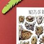 Nests Of Britain Watercolour Postcard, thumbnail 4 of 8