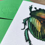 Hand Drawn Green Beetle Illustrated Blank Greeting Card, thumbnail 6 of 10