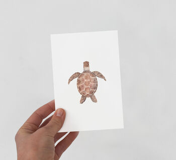 Turtle Greetings Card, 2 of 3