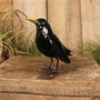 Blackbird Sculpture, thumbnail 1 of 1