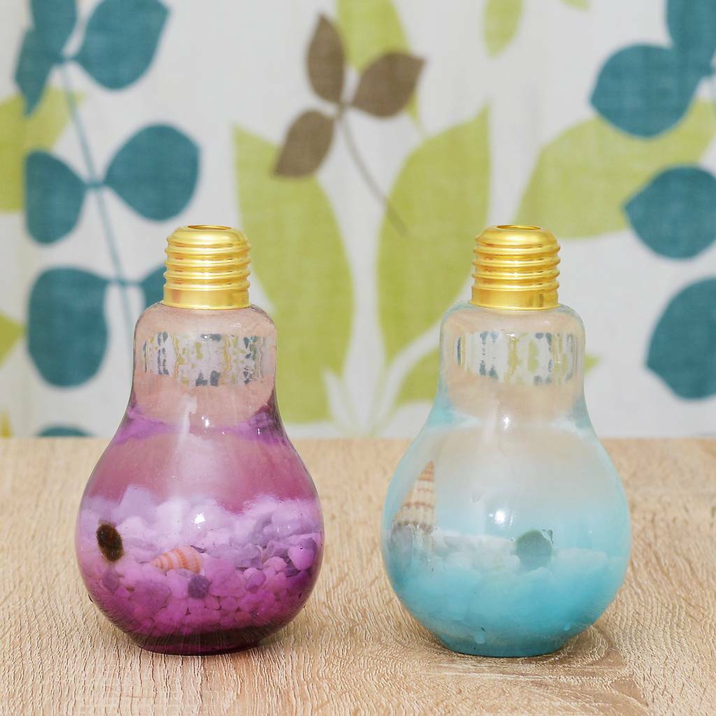 Japanese Marimo Moss Ball Terrarium In Light Bulb Vase By DingaDing ...
