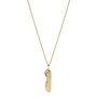 Sycamore Gap Seed Pendant Gold Plated, thumbnail 2 of 2