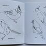 'Colouring Book Of Birds', thumbnail 8 of 9