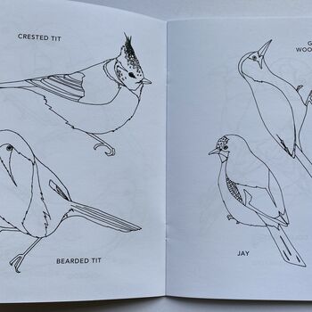 'Colouring Book Of Birds', 8 of 9