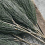Faux Pine Tree Branch, thumbnail 3 of 4