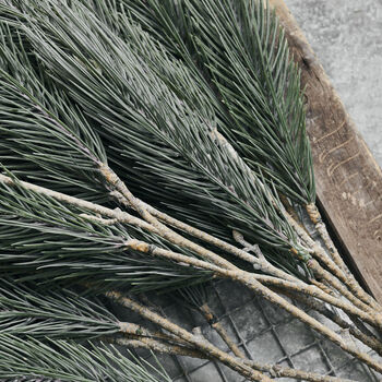 Faux Pine Tree Branch, 3 of 4
