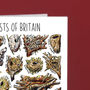 Nests Of Britain Greeting Card, thumbnail 4 of 7