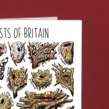 Nests Of Britain Greeting Card, 4 of 7