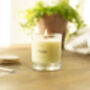 Essential Oil And Rapeseed Wax Candle, thumbnail 6 of 6
