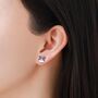 Sterling Silver Border Collie Dog Stud Earrings, thumbnail 5 of 12
