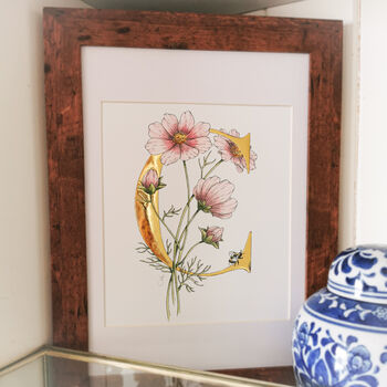 C Is For Cosmos Illuminated Botanical Print, 5 of 6