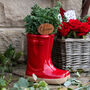 Personalised Red Welly Boots Planter Gift, thumbnail 1 of 11