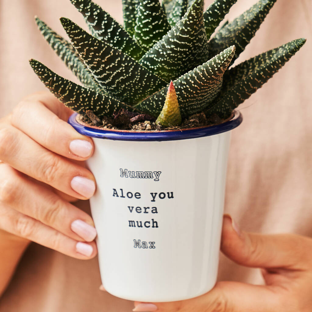 Engraved Enamel Planter By Sophia Victoria Joy