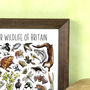 River Wildlife Of Britain Wildlife Print, thumbnail 6 of 9