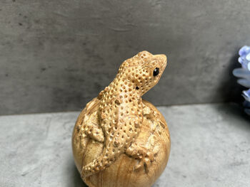 Hand Carved Wooden Gecko On Egg Ornament Figurine Gift, 9 of 12