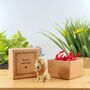 You're Roarsome Tiny Little Gifts, thumbnail 2 of 3