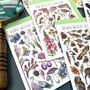 Wildlife Of Britain Greeting Cards Pack Volume Six, thumbnail 7 of 9
