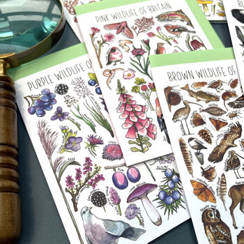 Wildlife Of Britain Greeting Cards Pack Volume Six, 7 of 9