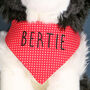 Border Collie Toy Dog, Optional Personalised Bandana, thumbnail 6 of 6
