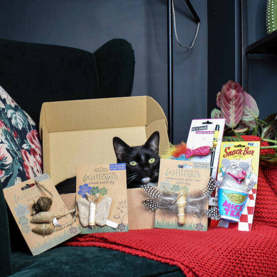 Toy Box Luxury Cat Hamper By Boop And Floof 