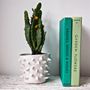 Handmade White Spiky Ceramic Cactus Vase, thumbnail 1 of 6