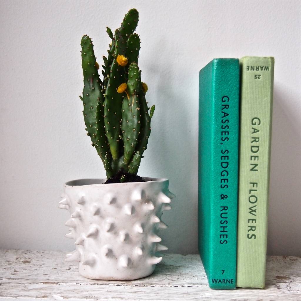 Handmade White Spiky Ceramic Cactus Vase, 1 of 6