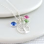 Family Tree Birthstone Necklace Sterling Silver, thumbnail 1 of 3