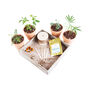 Monthly Tropical Houseplant Seed Subscription Box, thumbnail 9 of 12