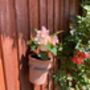 16cm Terracotta Flower Pot Planter With Metal Holder, thumbnail 2 of 5