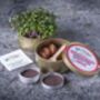 Grow Your Own Microgreens Teeny Greeny Micrology® Kit, thumbnail 5 of 12