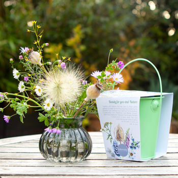 Grow Your Own Wildflower Bouquet And Vase Gift Set, 7 of 12