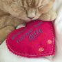Purrsonalised Catnip Heart Cat Toys, thumbnail 3 of 5