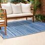 Blue And White Decorative Outdoor Rug, thumbnail 1 of 2