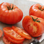 Tomato 'Beefsteak' Six X Plug Pack, thumbnail 5 of 6