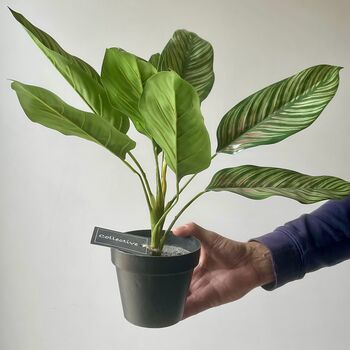 Artificial Potted Leafy Plant, 2 of 5