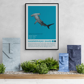 Sharks And Orca Wall Art Prints Set Of Seven, 5 of 8