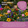 Personalised Wild Flower Seeds Starter Kit With 30 Varieties, thumbnail 5 of 12