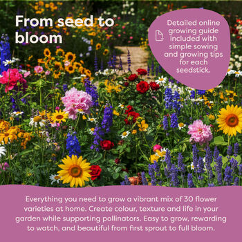 Personalised Wild Flower Seeds Starter Kit With 30 Varieties, 5 of 12