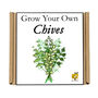 Gardening Gift. Grow Your Own Herbs. Chives Seeds Kit, thumbnail 4 of 4
