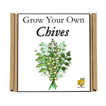 Gardening Gift. Grow Your Own Herbs. Chives Seeds Kit, 4 of 4