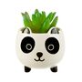 Cute Panda Planter With Choice Of Plants, thumbnail 2 of 4