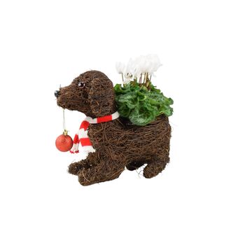 Dog Planter With Christmas Cyclamen And Bauble, 3 of 3