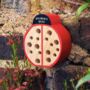 Personalised Wooden Ladybird Hotel, thumbnail 1 of 4