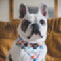 Chunky Check Dog Harness, thumbnail 6 of 12