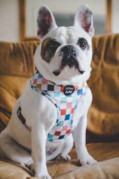 Chunky Check Dog Harness, 6 of 12
