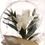 Personalised Floral Lily In Bubble Balloon, thumbnail 5 of 8