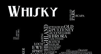 Whisky T Shirt, 3 of 7