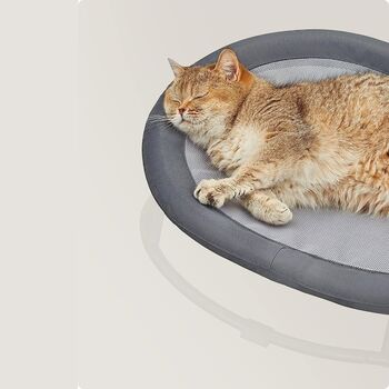 Cat Hammock Raised Bed Pet Bedding Hanging Chair Bed, 4 of 7