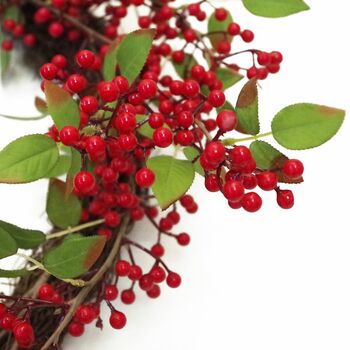 60cm Artificial Christmas Natural Red Berry Wreath, 2 of 8